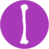 Human bone icon